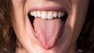 Dil haritası efsanesi çöktü! Tat bölgeleri gerçeği şaşırttı