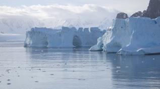 Antarktika'da eriyen buzullarla ilgili şaşırtan sonuç