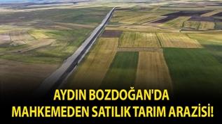 Aydın Bozdoğan'da mahkemeden satılık tarım arazisi!