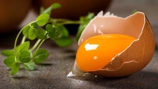 Doktorlar yumurta tüketimi konusunda uyardı