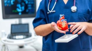 Kalp kanseri neden bu kadar nadir? Bilim dünyası şaşkın