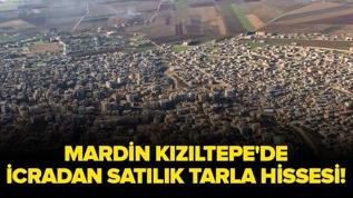 Mardin Kızıltepe'de icradan satılık tarla hissesi!