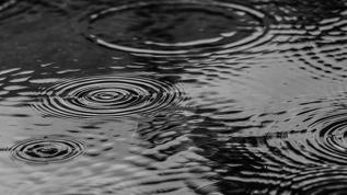 Türkiye'de siyah yağmur paniği: Uzmanlar etkisini değerlendirdi