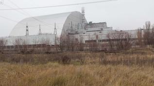 Çernobil'de keşfedilen mantar radyasyonu yiyor! Uzay yolculuğunda çığır açabilir