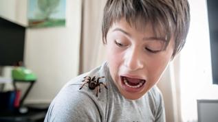 Örümcek korkunuz var mı? Gözleriniz bunu ele verebilir