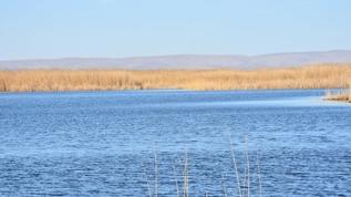Sıfır Atık Vakfı, Eber Gölü için hazırlanacak eylem planına katkı sağlayacak