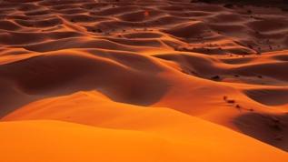 Bilim insanlarından Sahra çölü için kritik çağrı! Güneş paneli yerine alternatif enerjiye yönelin