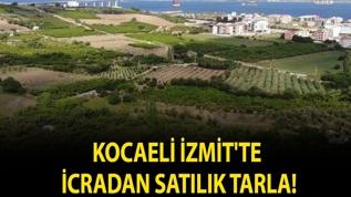 Kocaeli İzmit'te icradan satılık tarla!