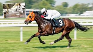 Kavurma yapılan atın sahibine 132 bin TL ceza! Skandalı İngiliz basını da haber yaptı