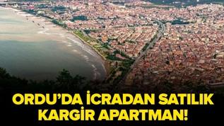 Ordu Altınordu'da icradan satılık kargir apartman!