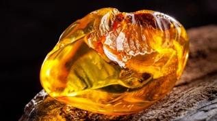 Kehribarın iyileştirici gücü! Bakterilere karşı yeni bir silah