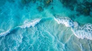 Okyanuslarda insan etkisi büyüyor! Kimyasal izler her yerde