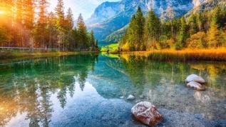 Şehir gürültüsüne karşı çözüm! Doğa sesleri terapi gibi çalışıyor