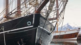 Denizlerde devrim hayali! Tekerlekli gemi neden başarısız oldu?