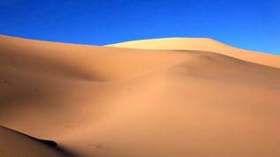 Gobi Çölü'nde keşfedildi! 90 milyon yıllık fosil heyecan yarattı