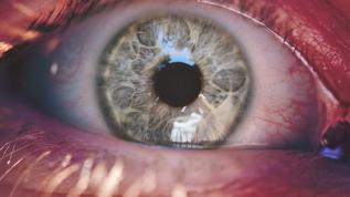 Görme ile ilgili yılların yanılgısı! Aslında çoğunu görmüyoruz