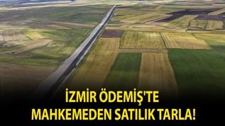 İzmir Ödemiş'te mahkemeden satılık tarla!
