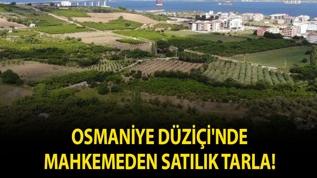 Osmaniye Düziçi'nde mahkemeden satılık tarla!