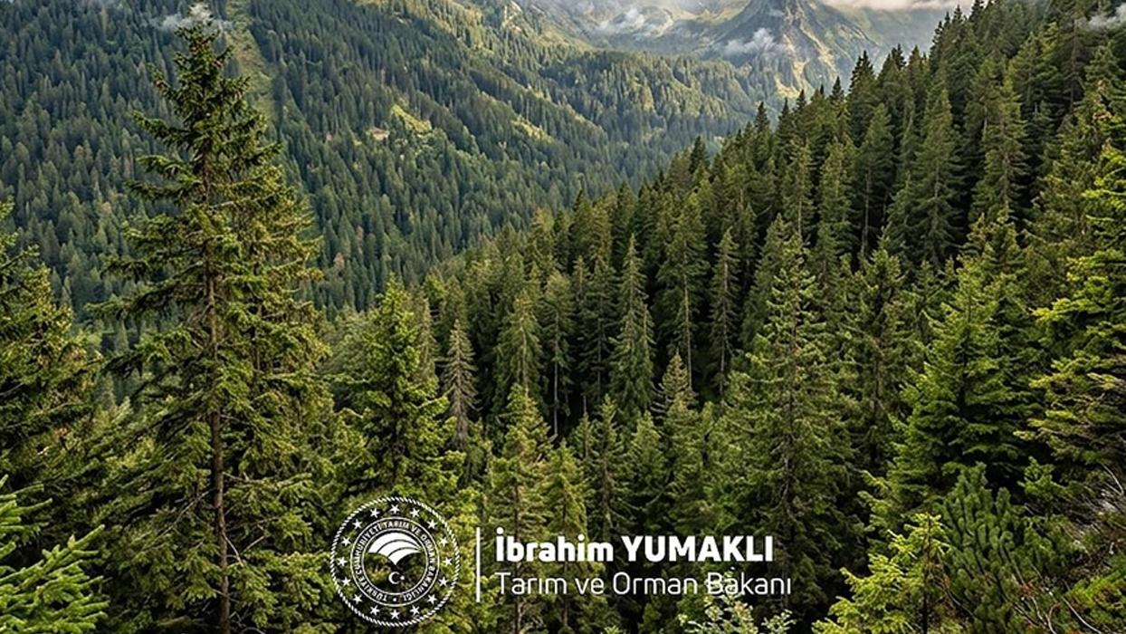 Bakan Yumaklı, Dünya Ormancılık Günü ve Orman Haftası'nı kutladı