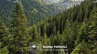 Bakan Yumaklı, Dünya Ormancılık Günü ve Orman Haftası'nı kutladı