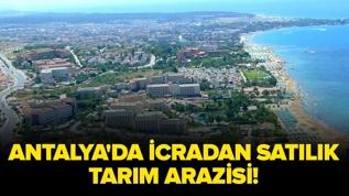 Antalya Manavgat'ta icradan satılık tarım arazisi!