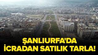 Şanlıurfa Haliliye'de icradan satılık tarla!