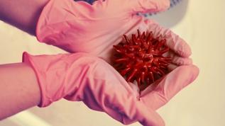 Evde hijyen alarmı! Tuvaletten daha fazla bakteri biriktiriyor