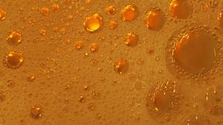 Bilim insanları kahverengi yağda devrim yaratan protein keşfini açıkladı