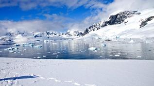 Antarktika'da şaşırtan değişim! Buzullar yeşile döndü