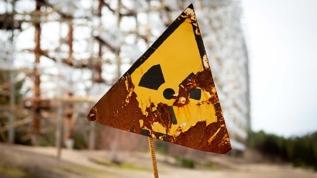 Çernobil nükleer felaketi sonrası keşfedildi! Bu mantar radyasyonu enerjiye dönüştürüyor