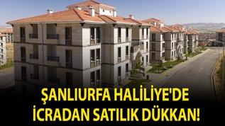 Şanlıurfa Haliliye'de icradan satılık dükkan!
