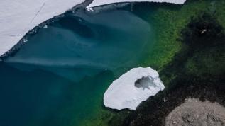 Şok eden görüntü! Antarktika'da buzlar yeşile döndü