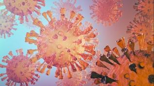 Covid Cicada varyantı endişesi! Aşıdan kaçabilir mi?