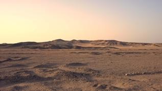 Sahra Çölü'ndeki gizem çözüldü! Dev halkaların sırrı ortaya çıktı