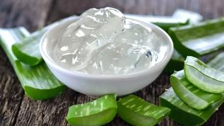 Aloe vera yağı ile cilt bakımında yeni dönem