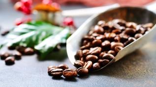 Arabica kahvesinin genetik sırları çözüldü! 600 bin yıl önce nasıl oluştu?