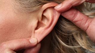 Kulaklarımızın garip şekli işitmenizi nasıl güçlendiriyor?