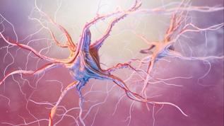 Hafıza kaybını önlemek mümkün mü? Yeni araştırma dikkat çekiyor