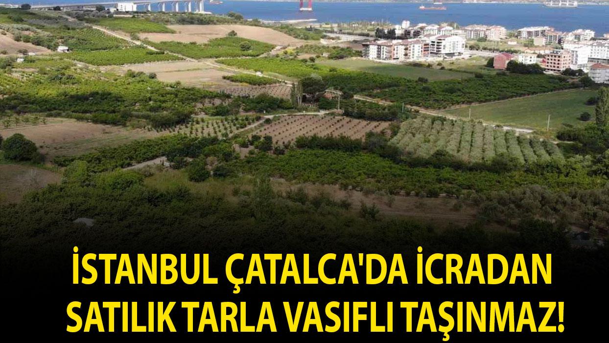 İstanbul Çatalca'da icradan satılık tarla vasıflı taşınmaz!