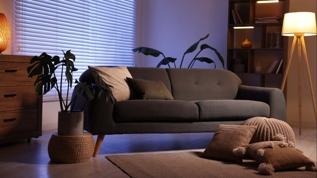 İç mimarlardan düşük ışıklı odalar için 7 etkili boya rengi önerisi