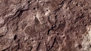 166 milyon yıllık sır! Mağara tavanındaki izler ne anlatıyor?