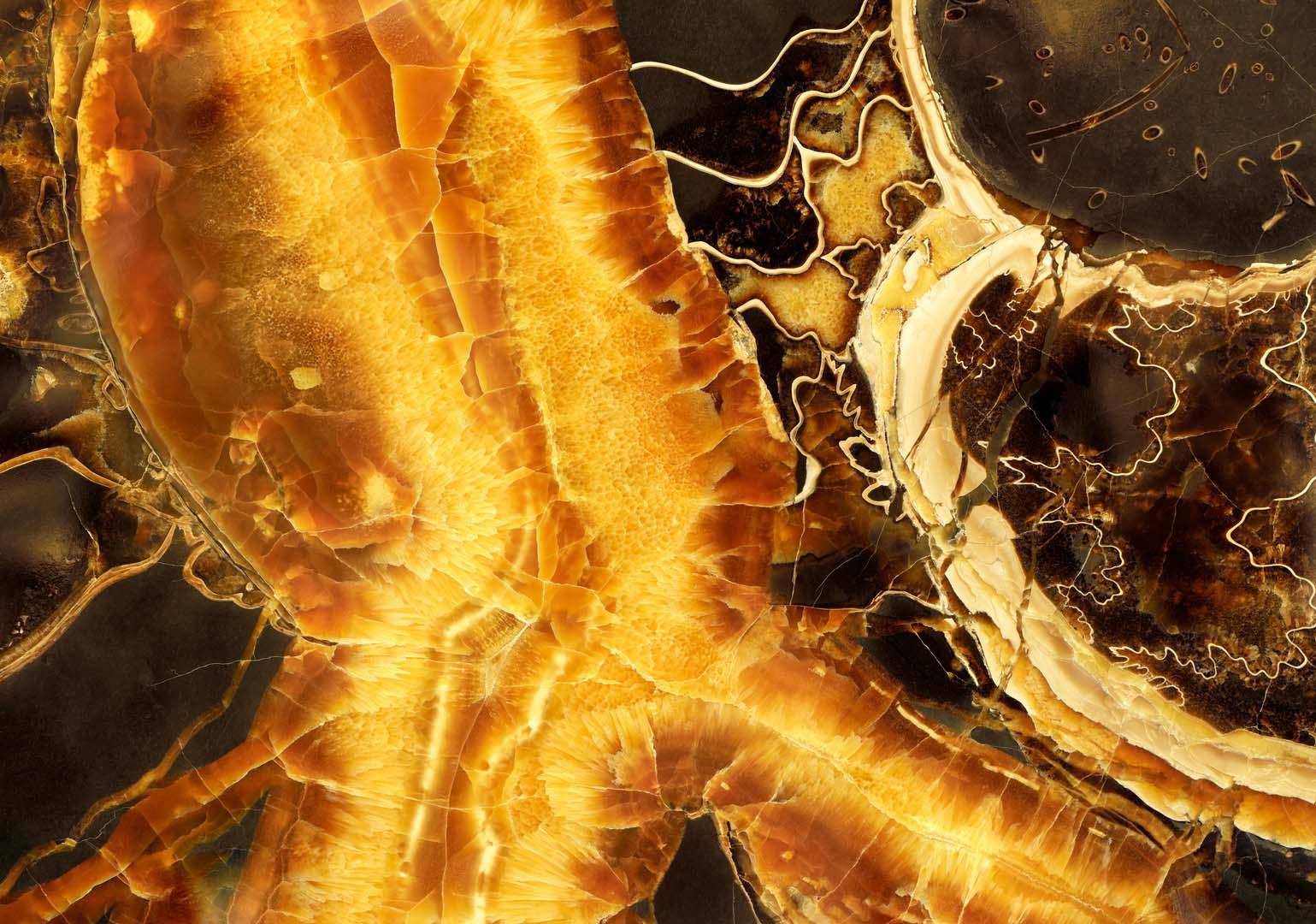 300 milyon yıllık hata gün yüzüne çıktı! Tarih yeniden yazılıyor