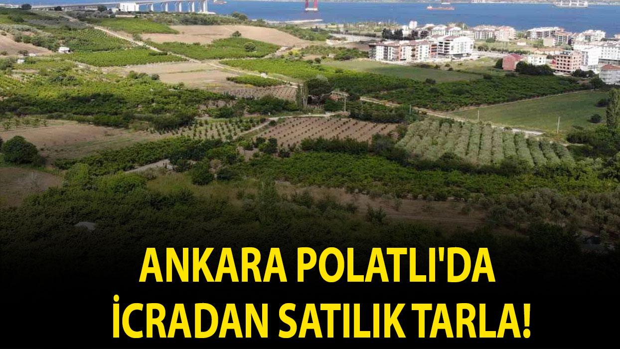 Ankara Polatlı'da icradan satılık tarla!
