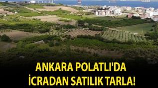 Ankara Polatlı'da icradan satılık tarla!