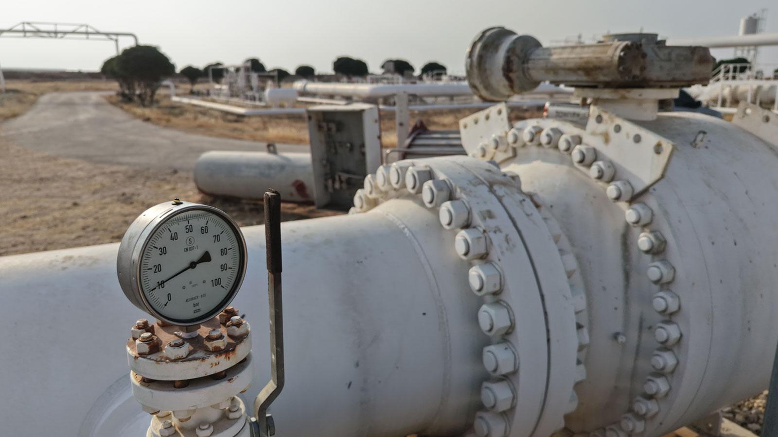 Japonya, mayıs ayında ulusal rezervlerden piyasaya ilave petrol sürmeyi planlıyor