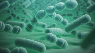 Kanserin gizli nedeni bulundu mu? Bağırsakta saklanan virüs şok etti