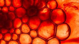 New York Üniversitesi'nden kahverengi yağ dokusu keşfi! Obezite tedavisinde yeni umut