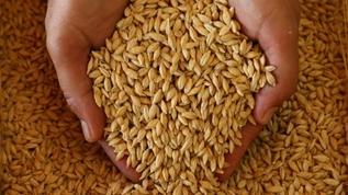 Arpa suyunun sağlığa önemli faydaları