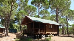 210 milyon dolandıran bungalov çetesine operasyon: 9 tutuklama