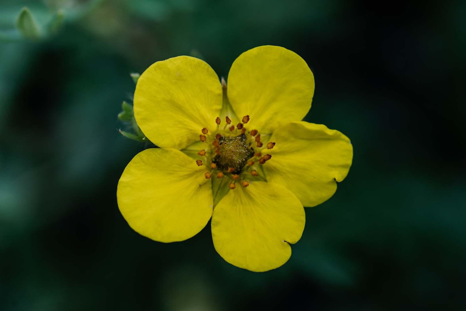 Antibiyotik direncine karşı yeni umut! Doktorların bile şaşırtan keşif